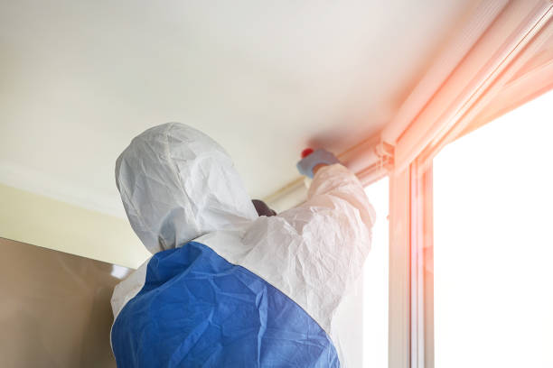 Oak Leaf, TX Mold Removal Company